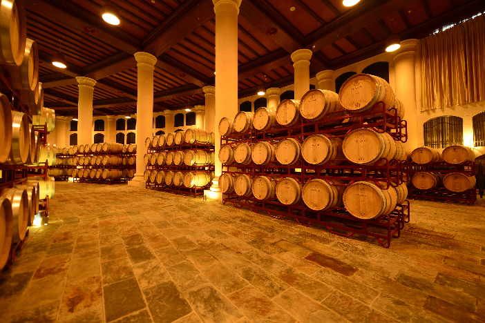 新疆對葡萄酒產(chǎn)業(yè)進行調(diào)研